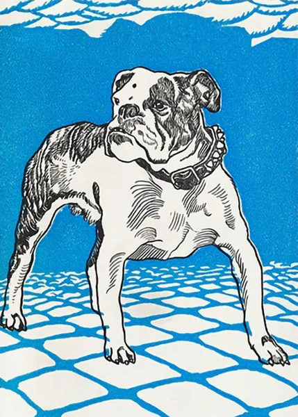 Bulldog-by-Moriz-Jung
