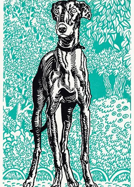 Greyhound-by-Moriz-Jung