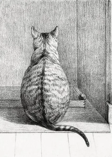 Sitting-cat-from-behind-by-Jean-Bernard