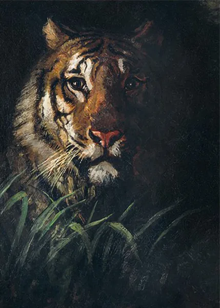 Tigers-Head-by-Abbott-Handerson-Thayer
