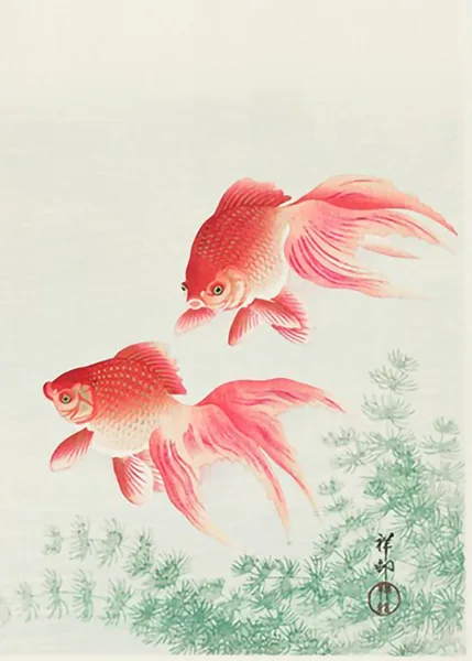 Two-Veil-Goldfish-by-Ohara-Koson