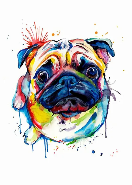 Renkli Pug Portresi