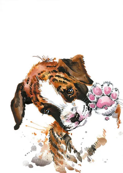 Sevimli Köpek Yavrusu