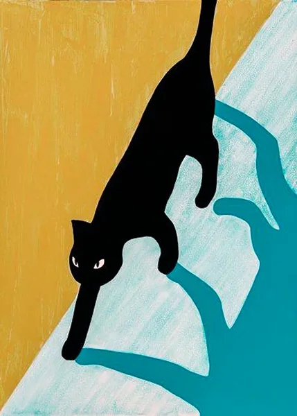 Gölgeyle Dans Eden Kedi