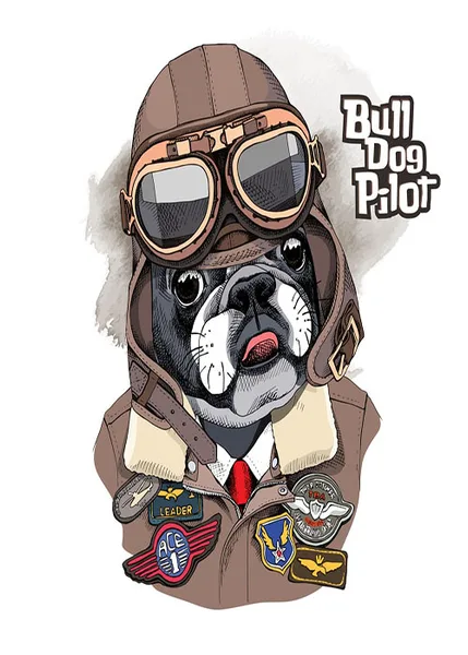 Pilot Kostümlü Bulldog İllüstrasyonu