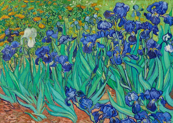 Irises-by-Van-Gogh