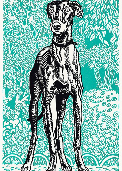 Greyhound-by-Moriz-Jung