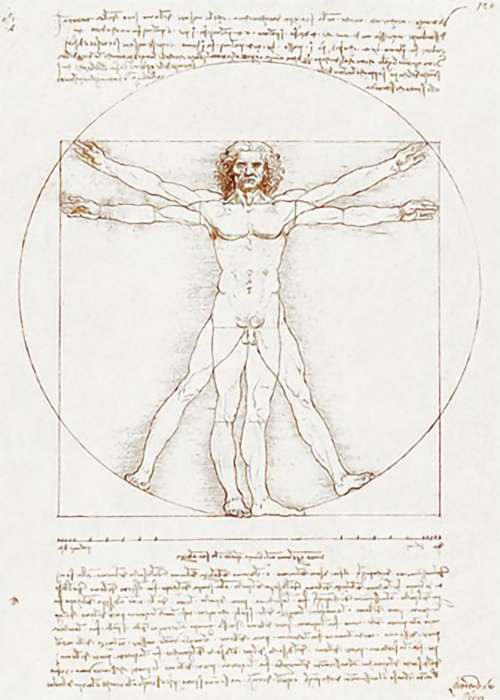 Vitruvian-Man-by-Leonardo-da-Vinci-1-R
