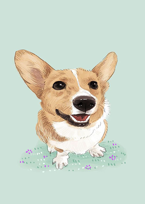 Sevimli Corgi Çizimi
