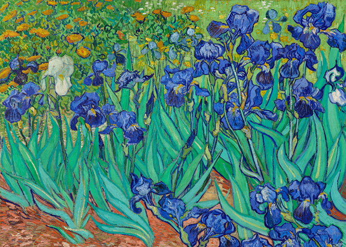 Irises-by-Van-Gogh