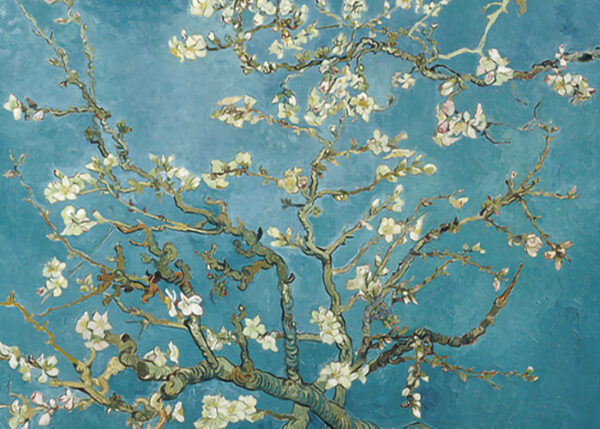 Almond Blossom by Van Gogh R