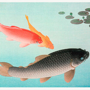 Common-and-Golden-Carp-by-Ohara-Koson