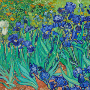 Irises-by-Van-Gogh